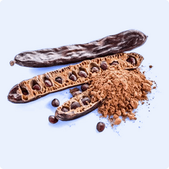 Alfarroba - Substituto Saudável do Cacau e Chocolate