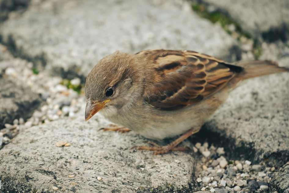 Foto de